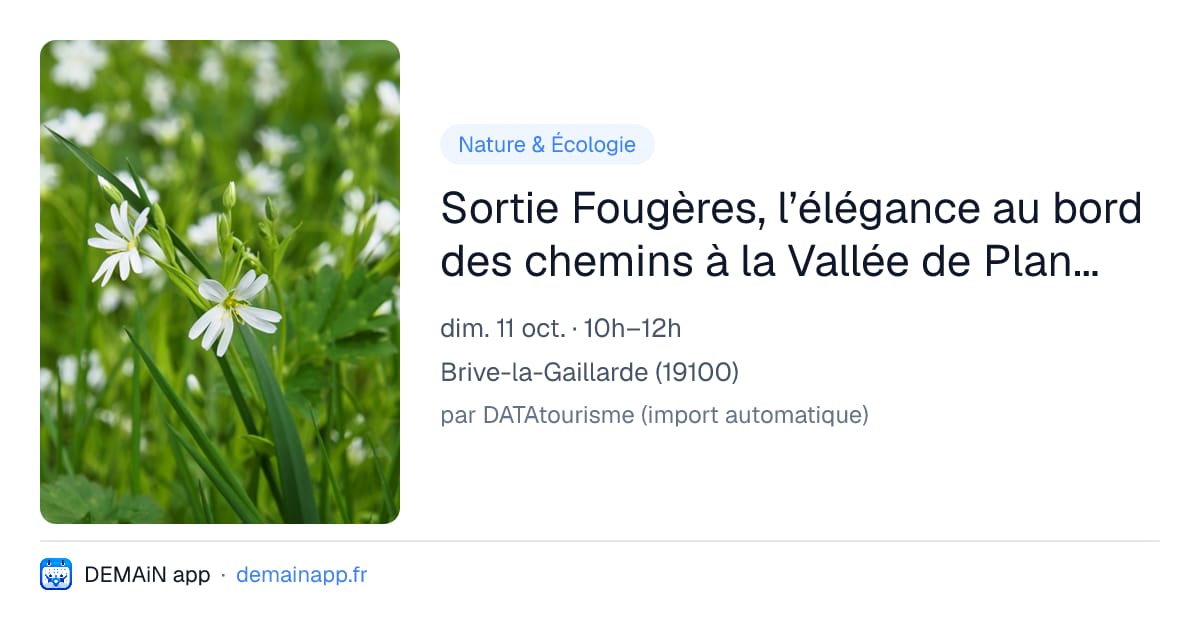 Sortie Fougères, l’élégance au bord des chemins à la Vallée de Planchetorte — Brive-la-Gaillarde