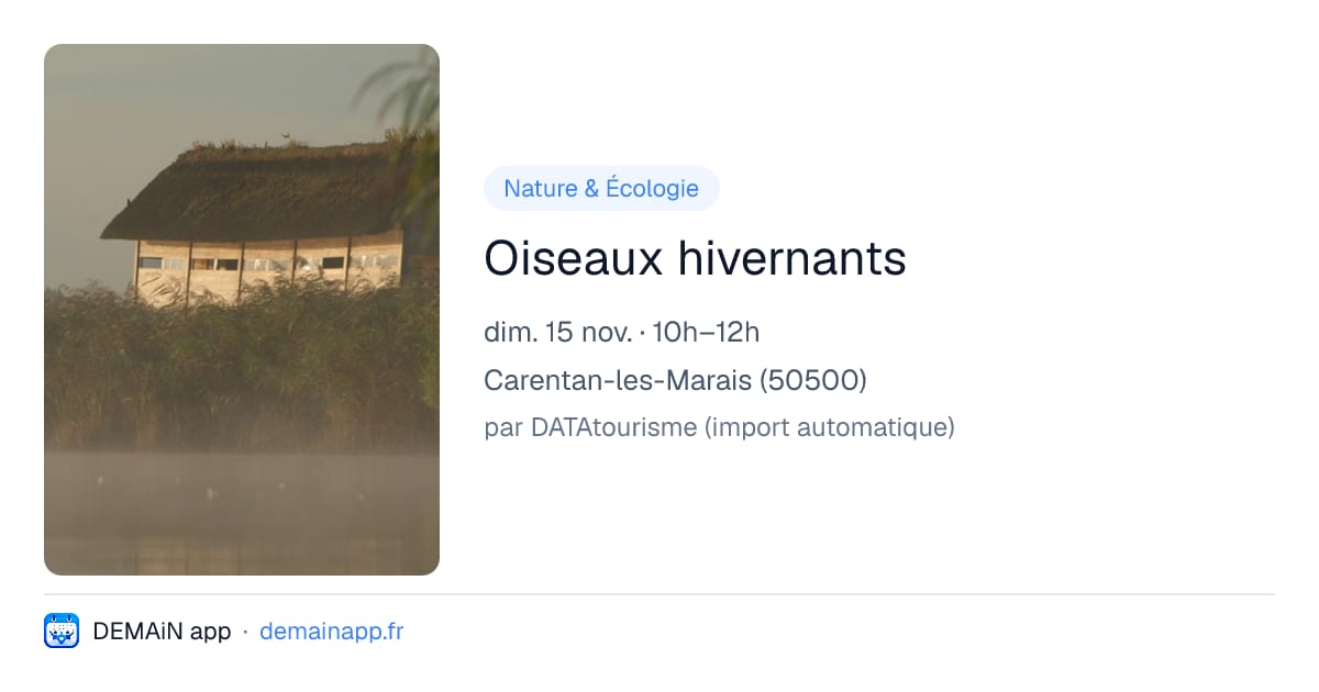 Oiseaux hivernants — Carentan-les-Marais