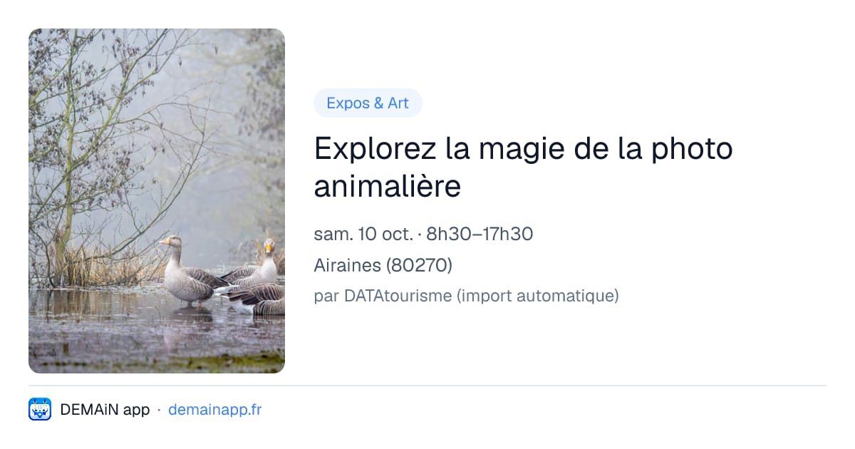 Explorez la magie de la photo animalière — Airaines