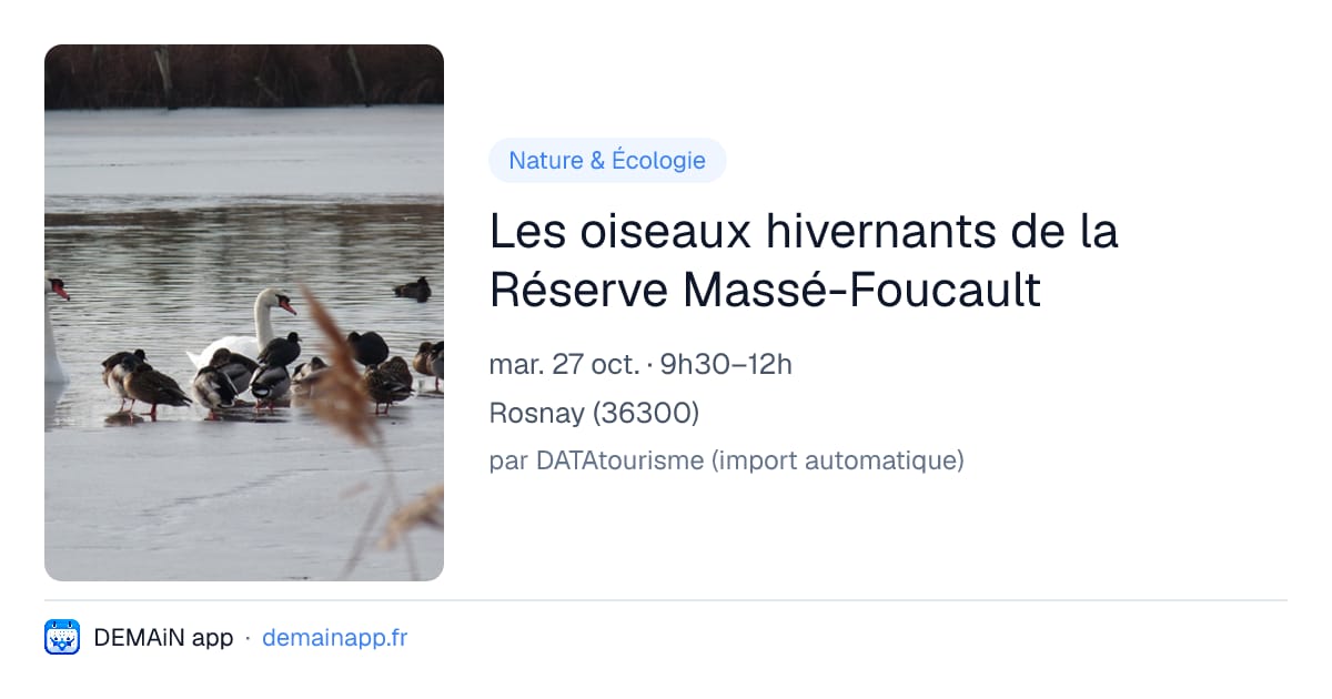 Les oiseaux hivernants de la Réserve Massé-Foucault — Rosnay