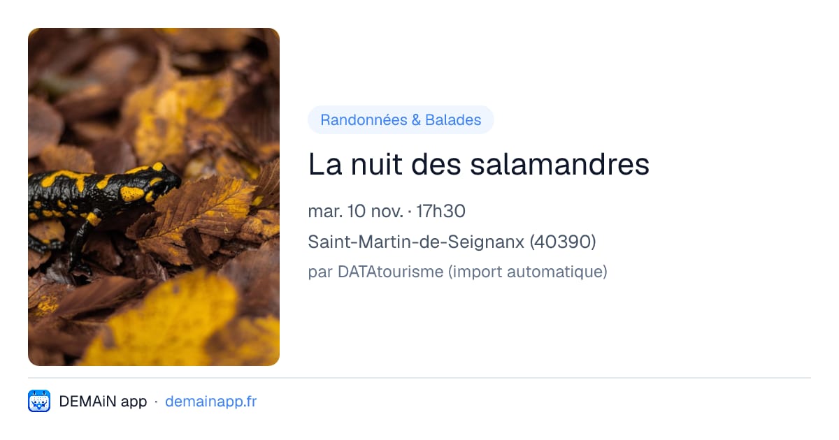 La nuit des salamandres — Saint-Martin-de-Seignanx
