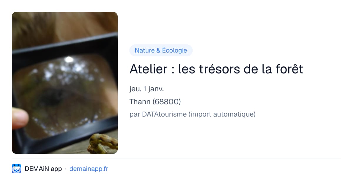 Atelier : les trésors de la forêt — Thann