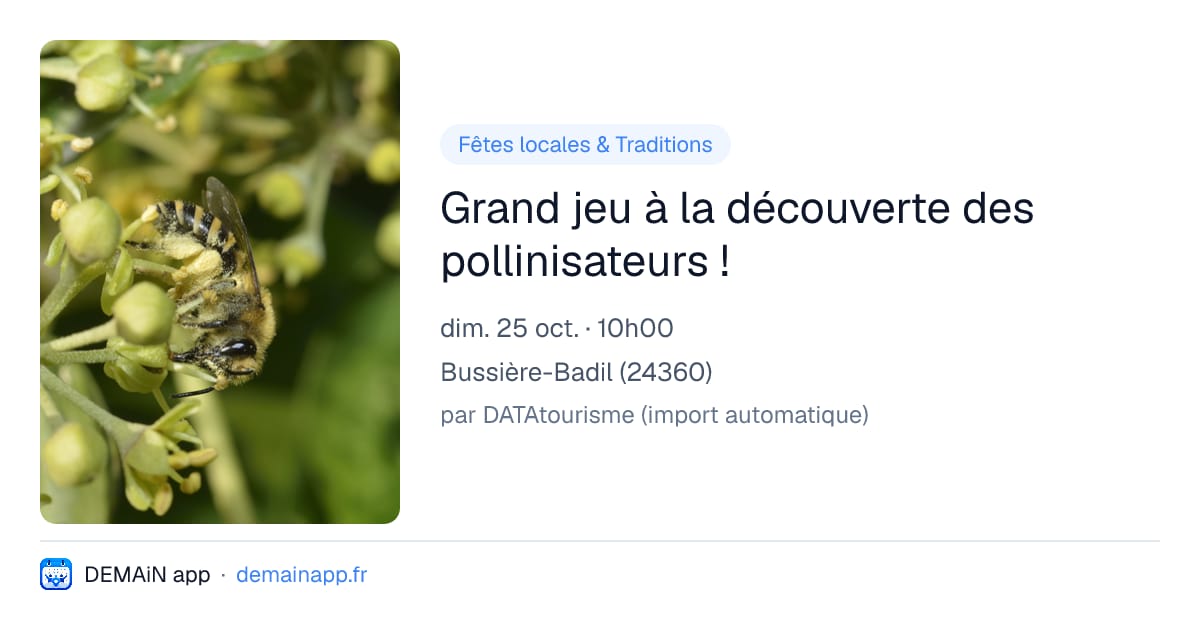 Grand jeu à la découverte des pollinisateurs ! — Bussière-Badil