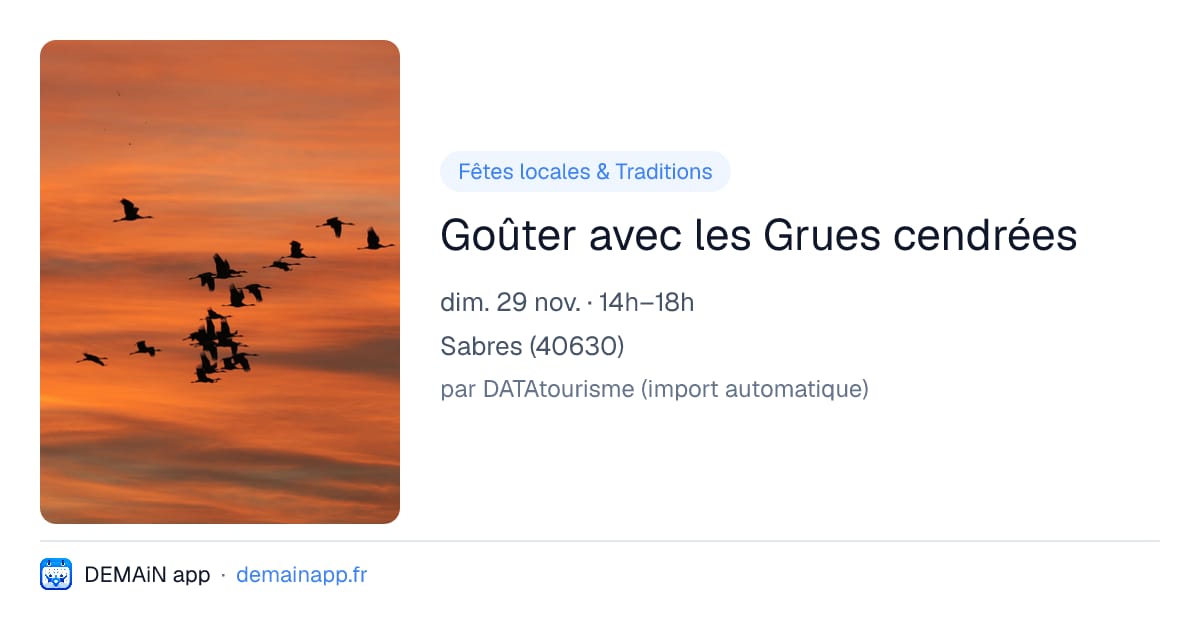 Goûter avec les Grues cendrées — Sabres