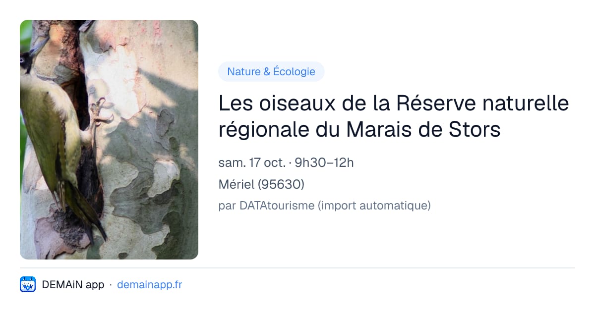 Les oiseaux de la Réserve naturelle régionale du Marais de Stors — Mériel