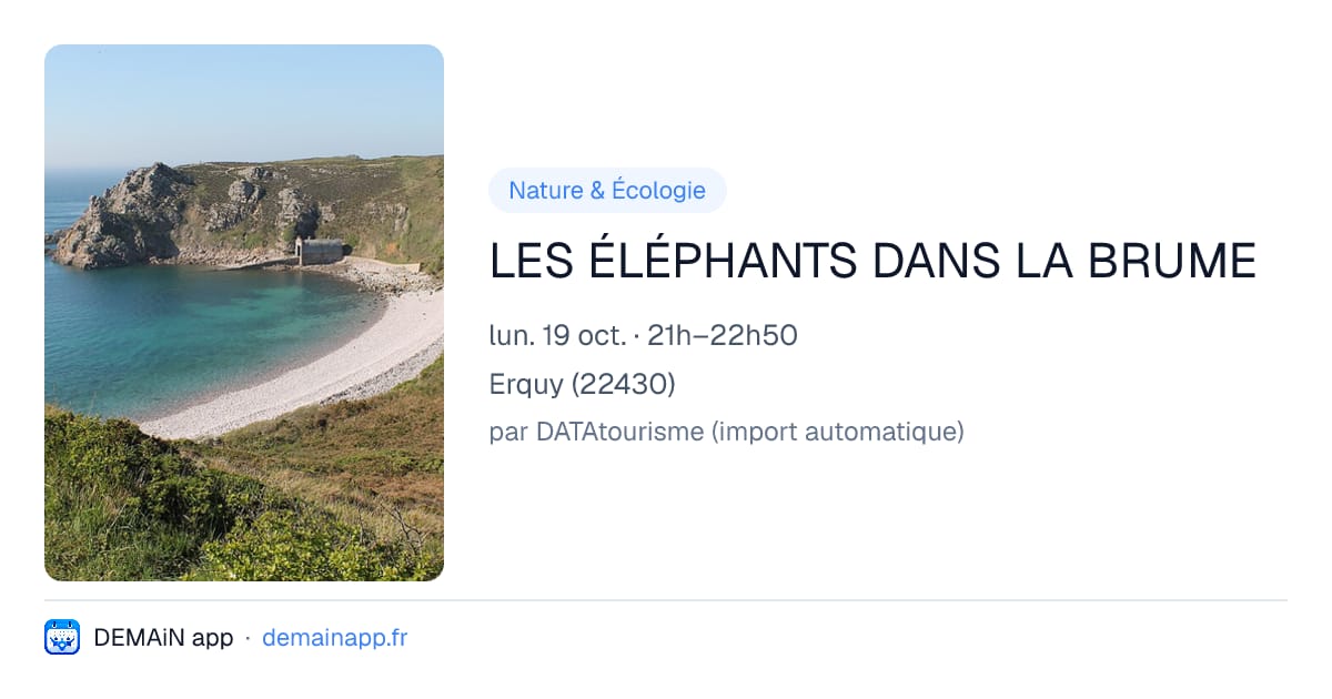 LES ÉLÉPHANTS DANS LA BRUME — Erquy