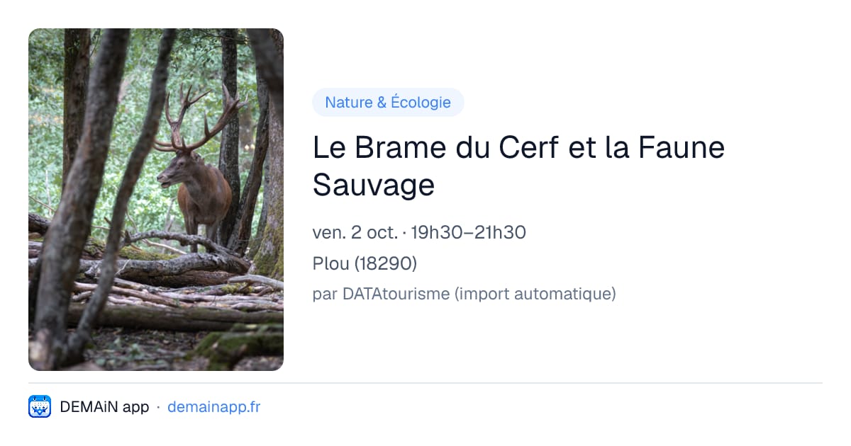 Le Brame du Cerf et la Faune Sauvage — Plou