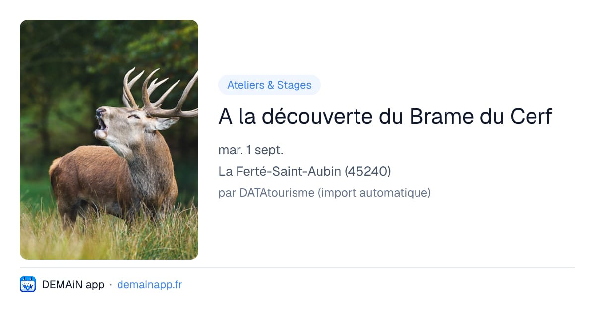 A la découverte du Brame du Cerf — La Ferté-Saint-Aubin