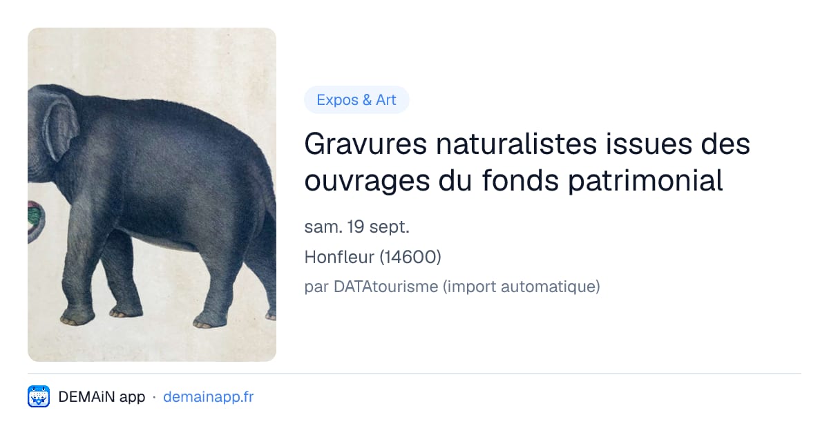 Gravures naturalistes issues des ouvrages du fonds patrimonial — Honfleur