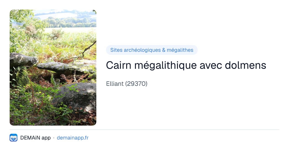 Cairn mégalithique avec dolmens — Elliant