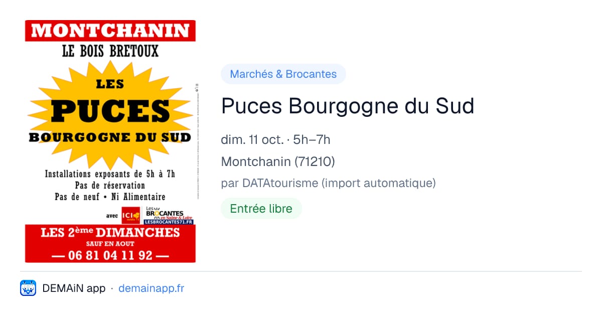 Puces Bourgogne du Sud — Montchanin