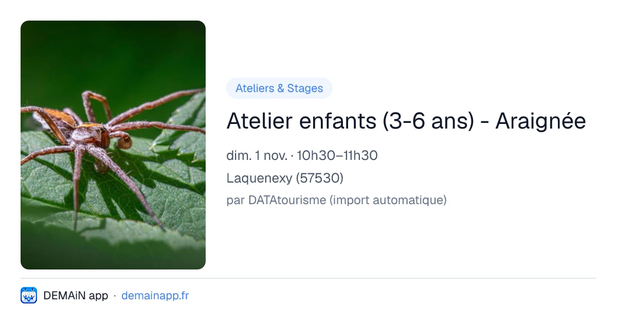 Atelier enfants (3-6 ans) - Araignée — Laquenexy