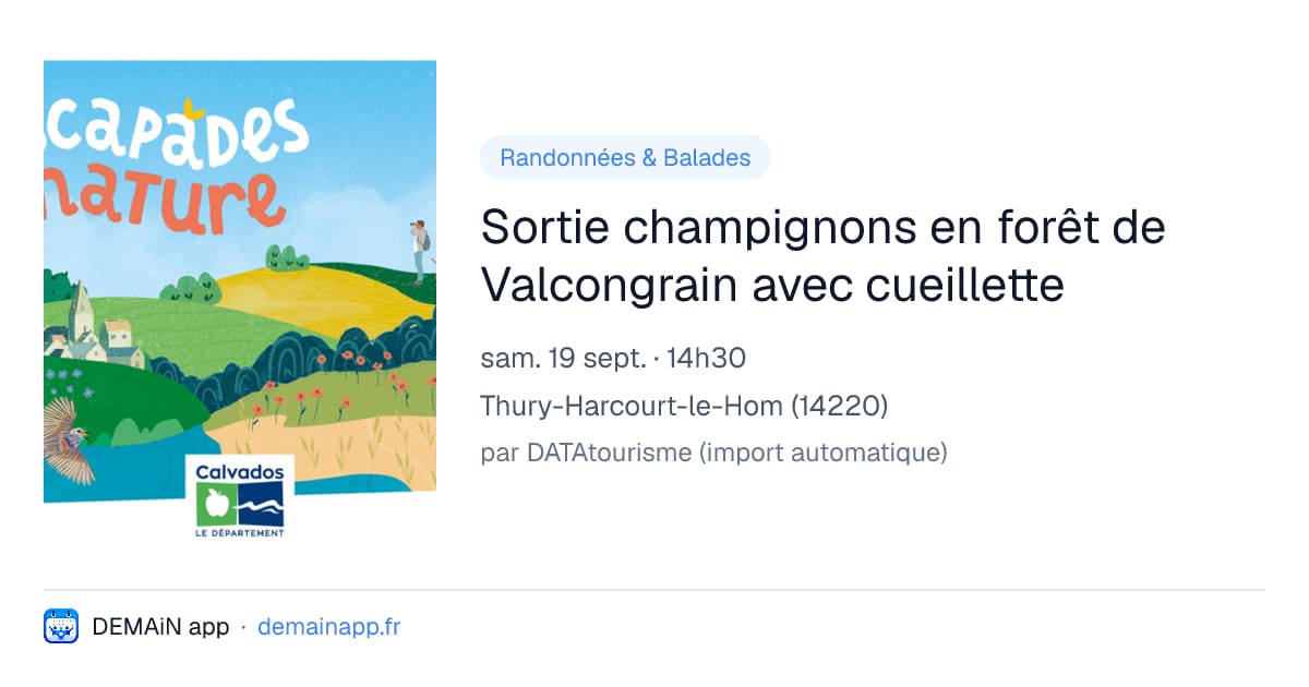 Sortie champignons en forêt de Valcongrain avec cueillette — Thury-Harcourt-le-Hom