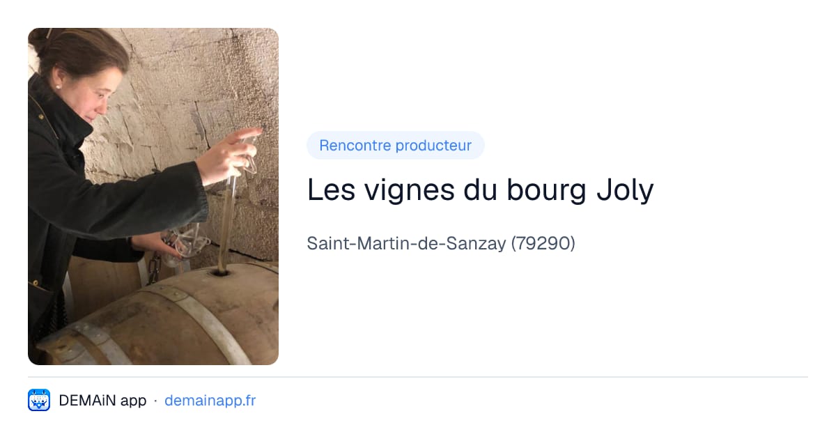 Les vignes du bourg Joly — Saint-Martin-de-Sanzay