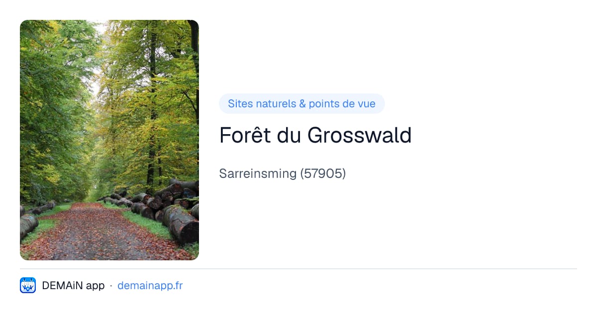 Forêt du Grosswald — Sarreinsming