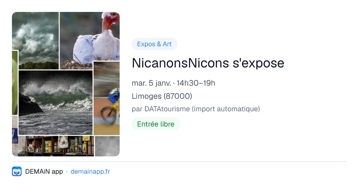 NicanonsNicons s'expose — Limoges