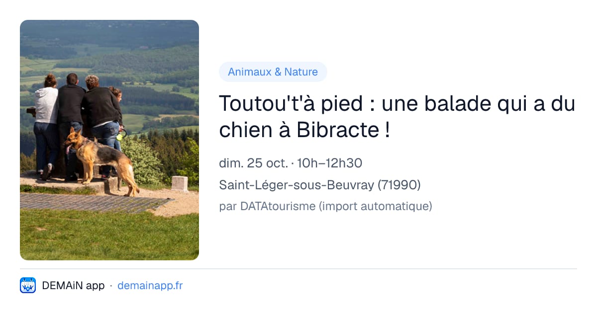 Toutou't'à pied : une balade qui a du chien à Bibracte ! — Saint-Léger-sous-Beuvray