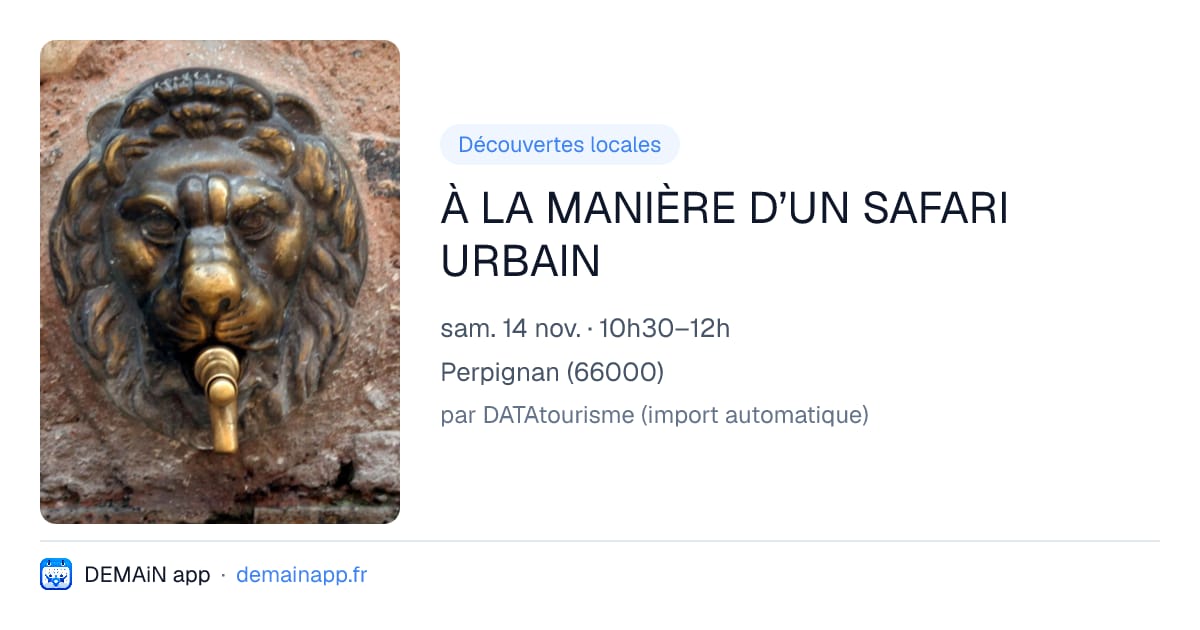 À LA MANIÈRE D’UN SAFARI URBAIN — Perpignan
