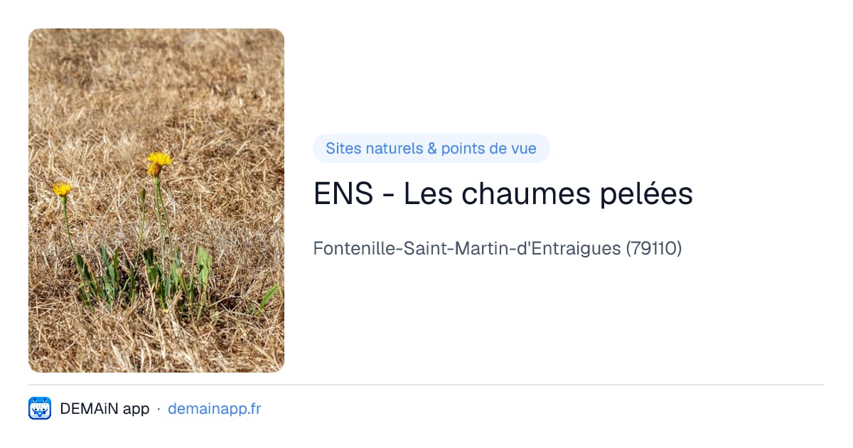 ENS - Les chaumes pelées — Fontenille-Saint-Martin-d'Entraigues