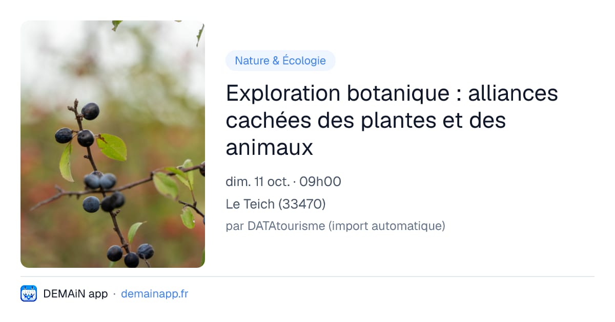 Exploration botanique : alliances cachées des plantes et des animaux — Le Teich