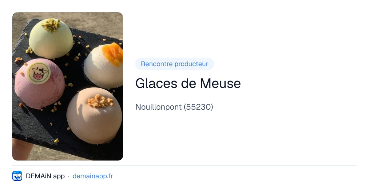Glaces de Meuse — Nouillonpont