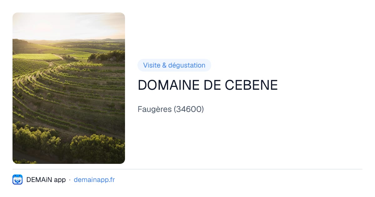 DOMAINE DE CEBENE — Faugères