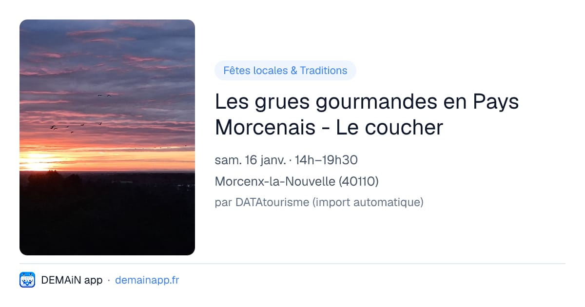 Les grues gourmandes en Pays Morcenais - Le coucher — Morcenx-la-Nouvelle