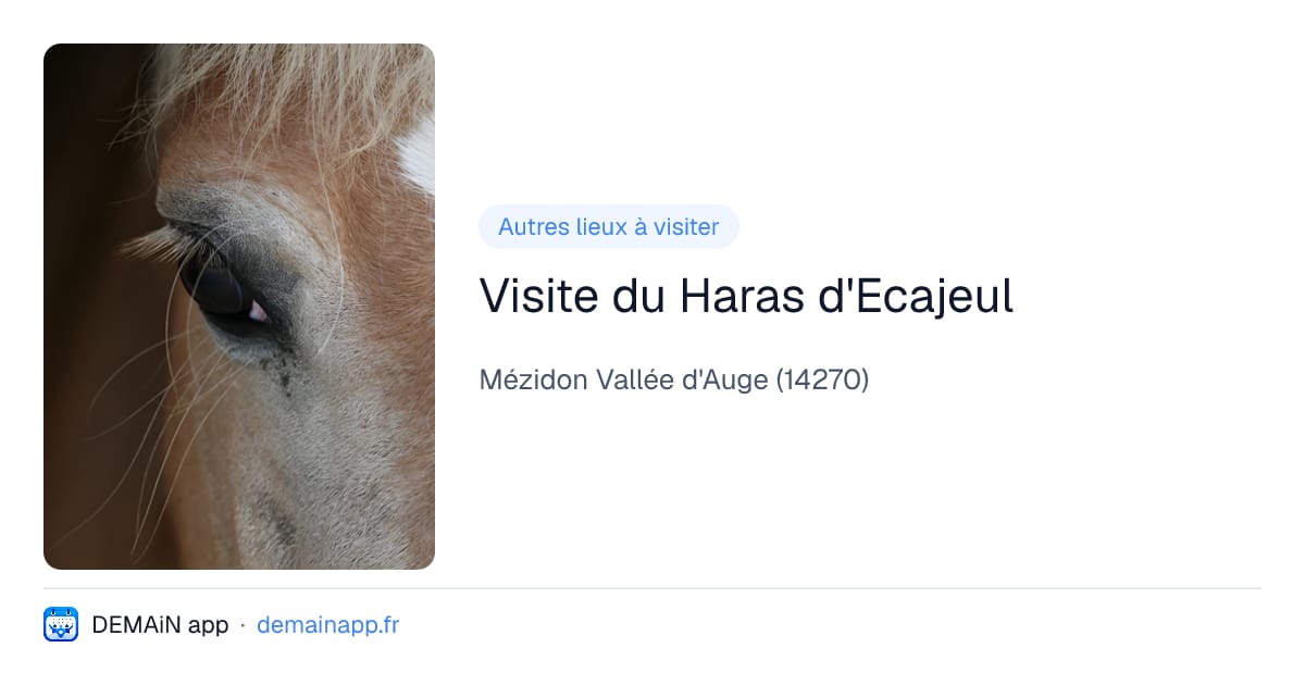 Visite du Haras d'Ecajeul — Mézidon Vallée d'Auge