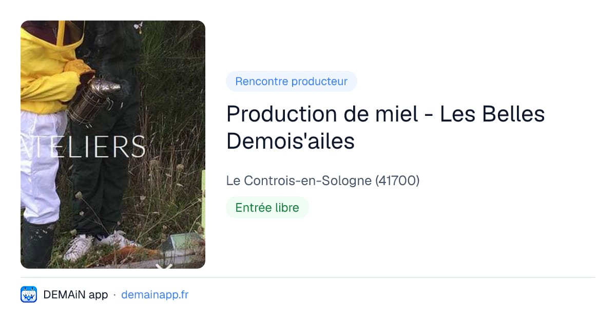 Production de miel - Les Belles Demois'ailes — Le Controis-en-Sologne