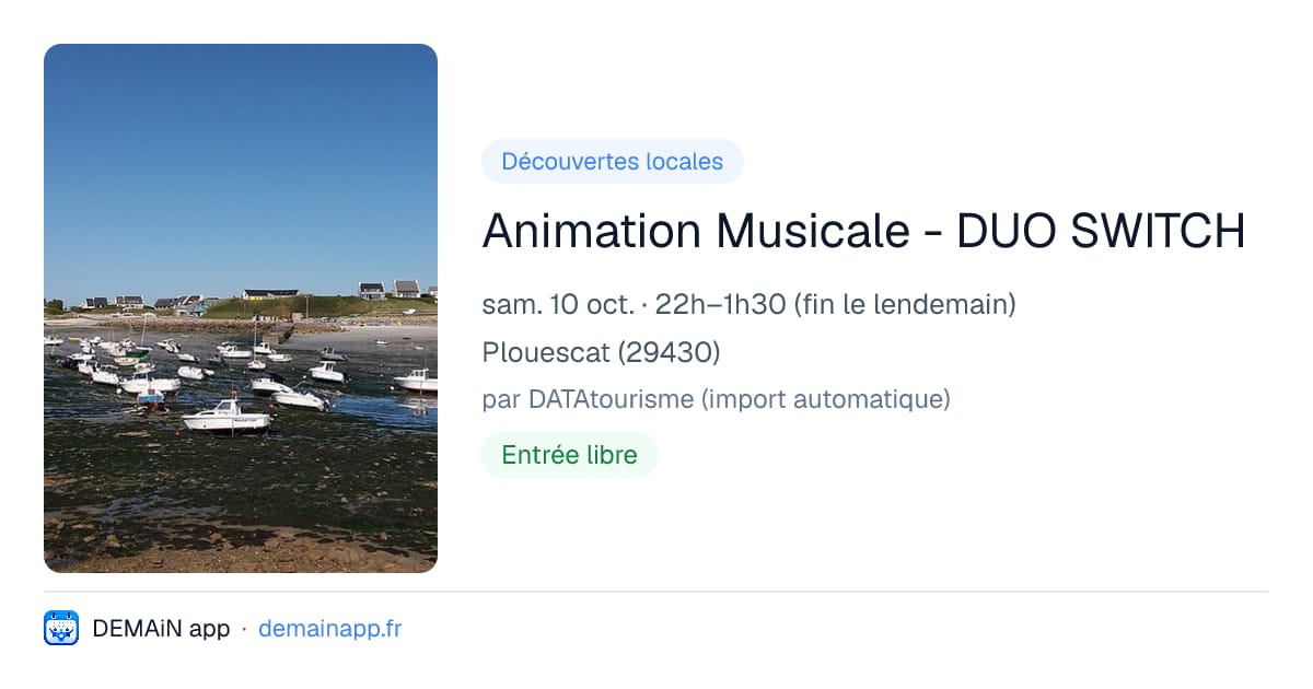Animation Musicale - DUO SWITCH — Plouescat