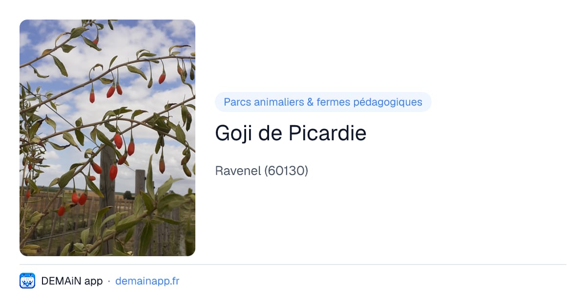 Goji de Picardie — Ravenel