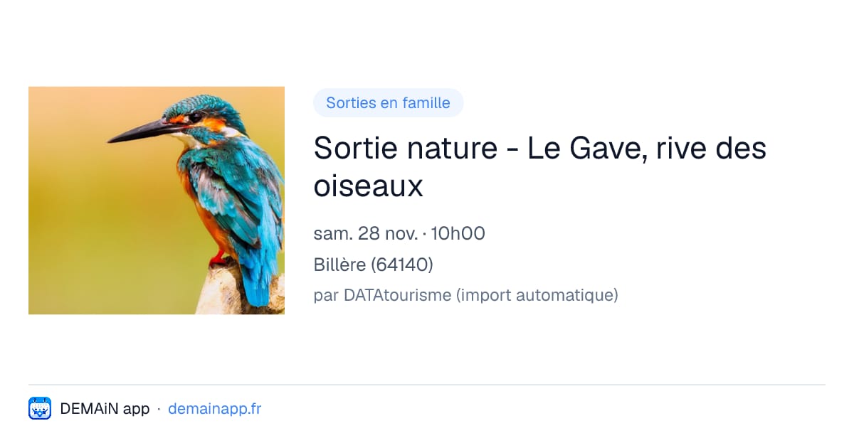 Sortie nature - Le Gave, rive des oiseaux — Billère