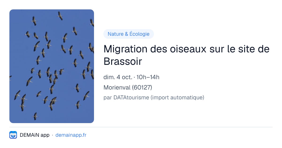 Migration des oiseaux sur le site de Brassoir — Morienval