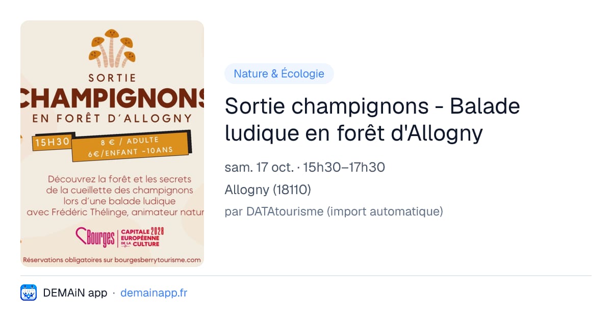 Sortie champignons - Balade ludique en forêt d'Allogny — Allogny