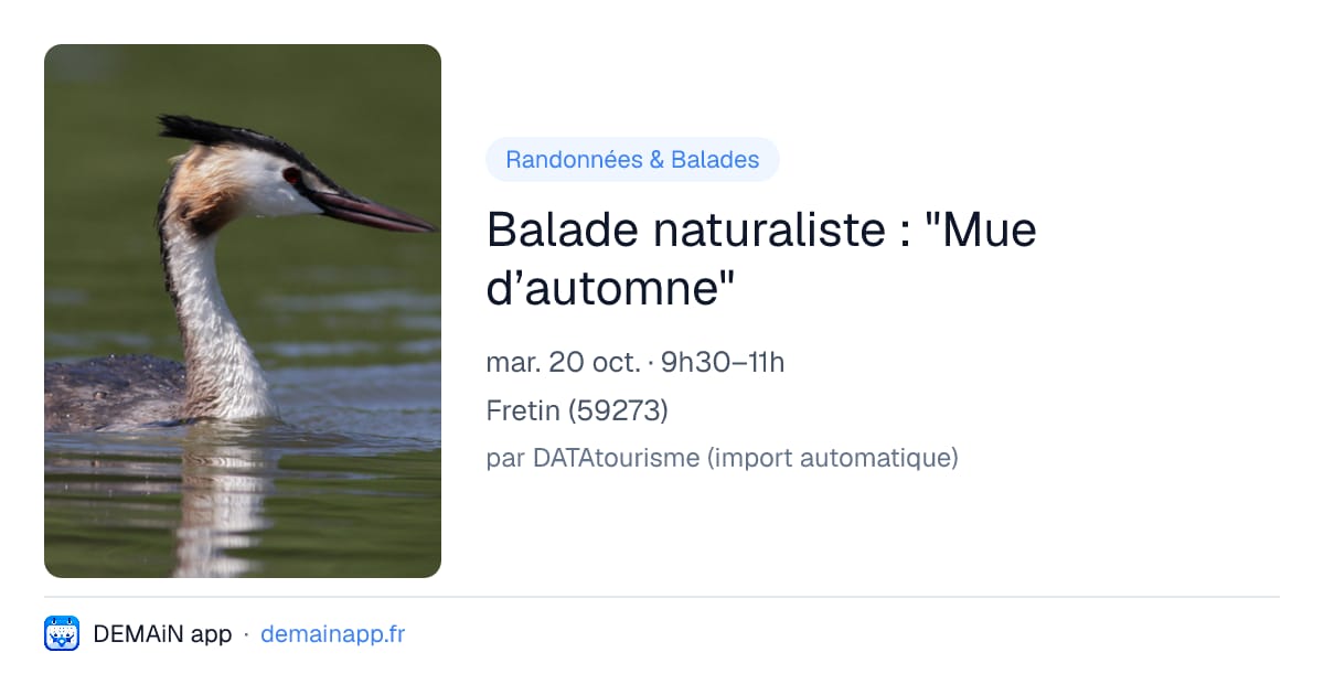Balade naturaliste : "Mue d’automne" — Fretin