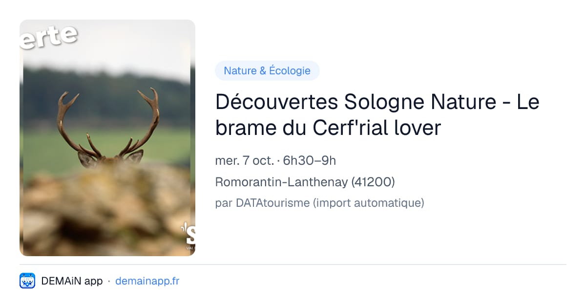 Découvertes Sologne Nature - Le brame du Cerf'rial lover — Romorantin-Lanthenay
