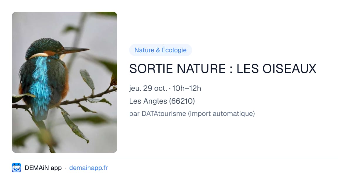 SORTIE NATURE : LES OISEAUX — Les Angles