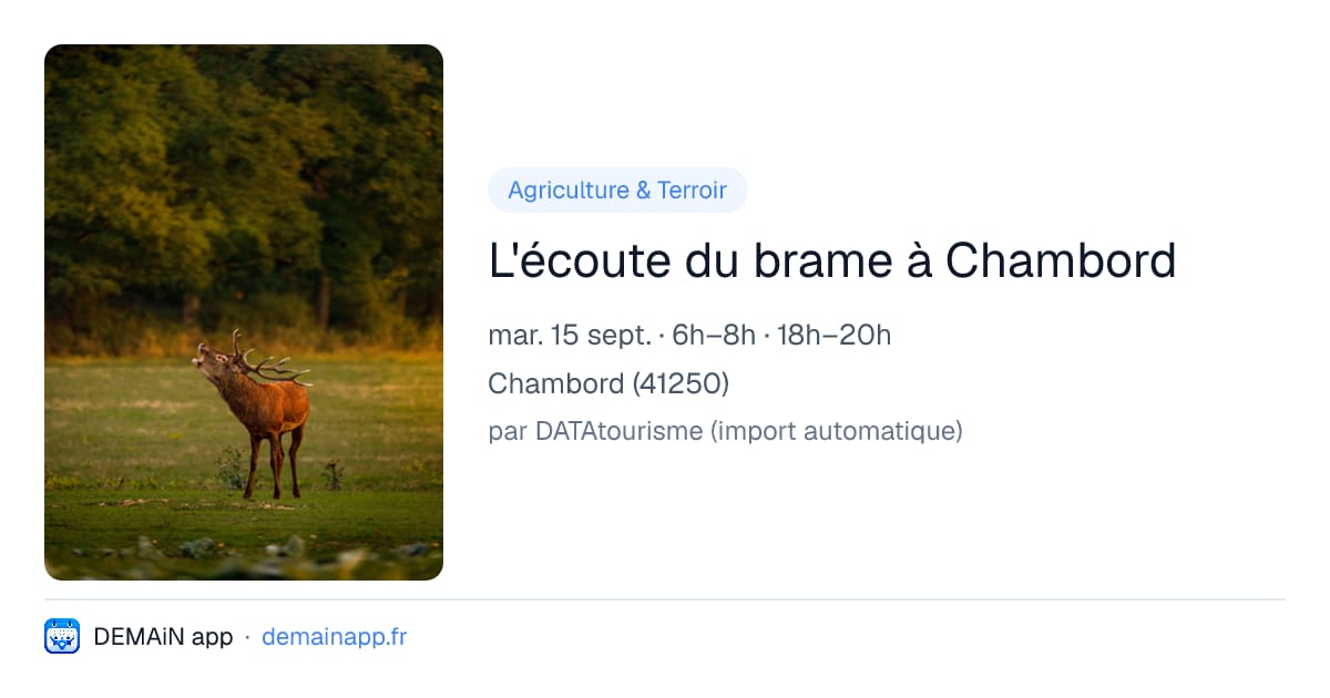L'écoute du brame à Chambord — Chambord