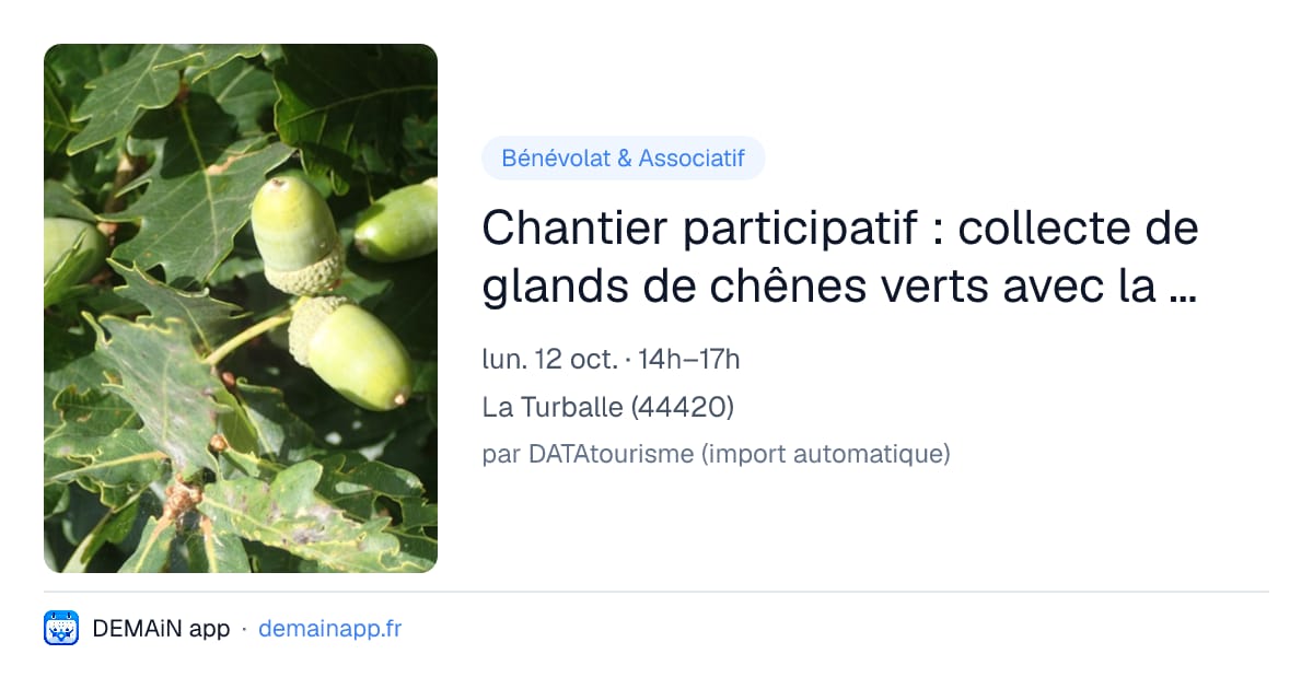 Chantier participatif : collecte de glands de chênes verts avec la Pépivert — La Turballe