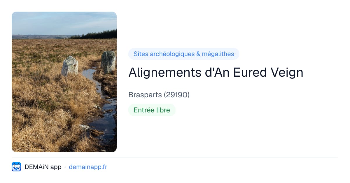 Alignements d'An Eured Veign — Brasparts