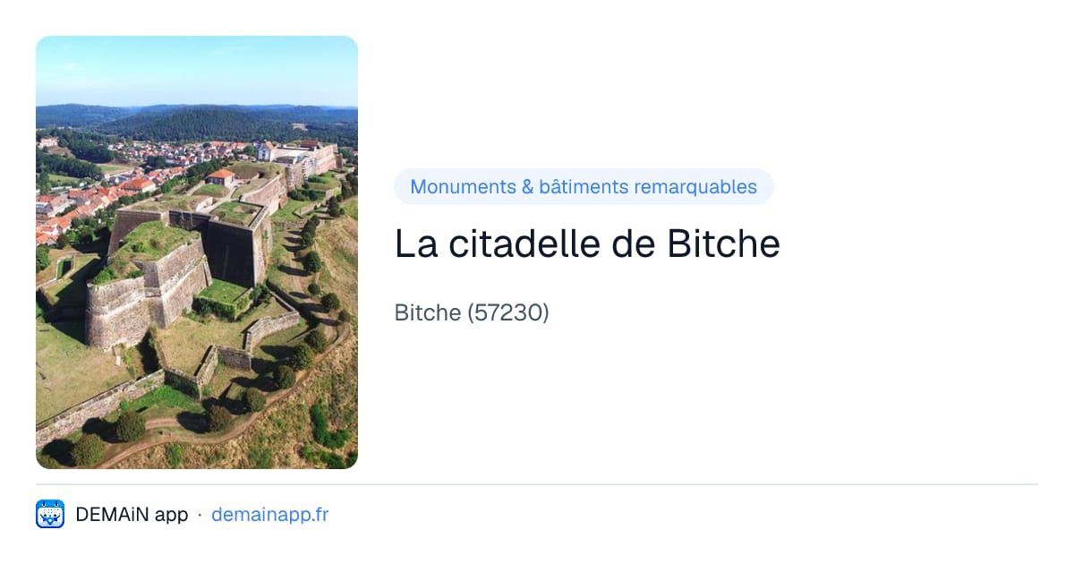 La citadelle de Bitche — Bitche