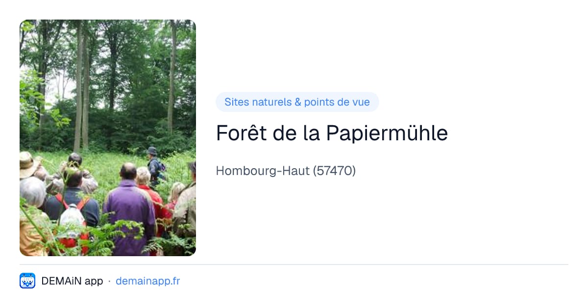 Forêt de la Papiermühle — Hombourg-Haut