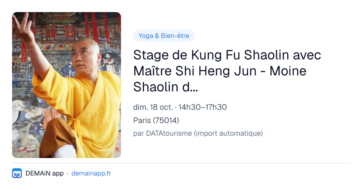 Stage de Kung Fu Shaolin avec Maître Shi Heng Jun - Moine Shaolin de la 35ème génération — Paris