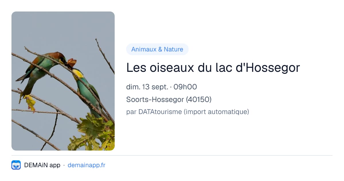 Les oiseaux du lac d'Hossegor — Soorts-Hossegor