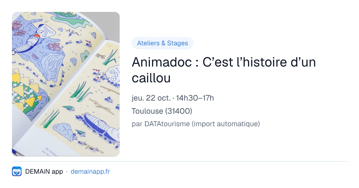 Animadoc : C’est l’histoire d’un caillou — Toulouse