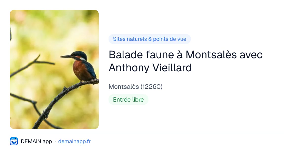 Balade faune à Montsalès avec Anthony Vieillard — Montsalès