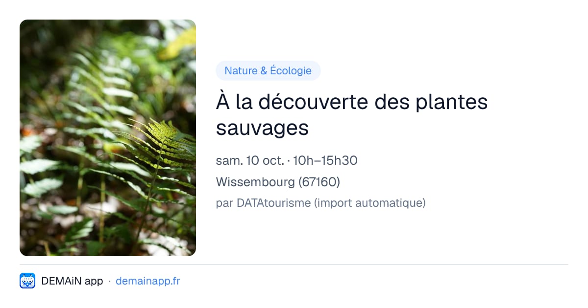À la découverte des plantes sauvages — Wissembourg
