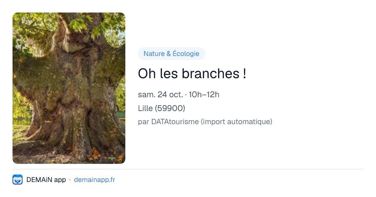 Oh les branches ! — Lille