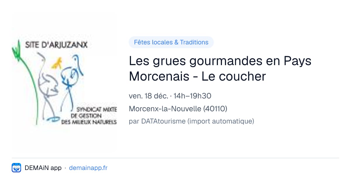 Les grues gourmandes en Pays Morcenais - Le coucher — Morcenx-la-Nouvelle