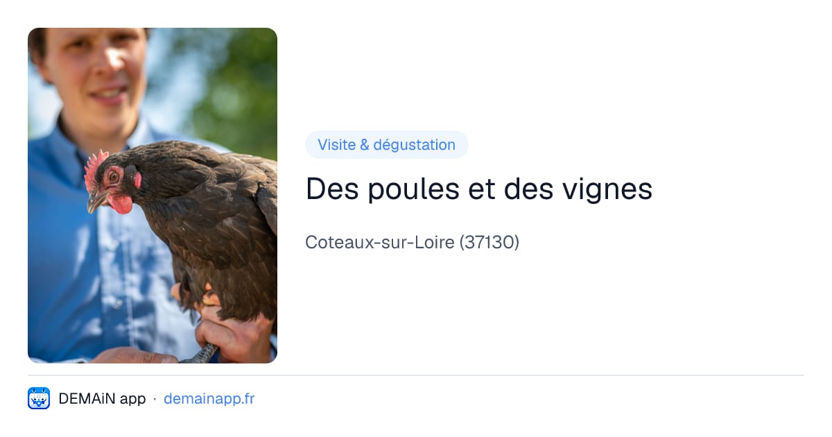 Des poules et des vignes — Coteaux-sur-Loire